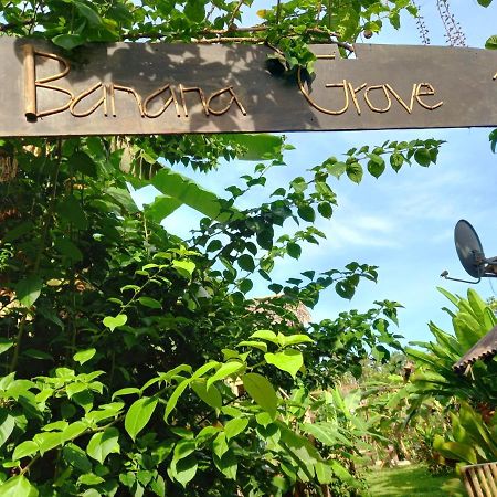 Banana Grove El Nido Hotell Exteriör bild