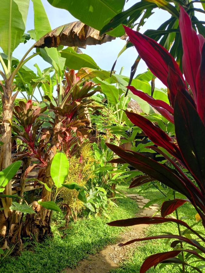 Banana Grove El Nido Hotell Exteriör bild
