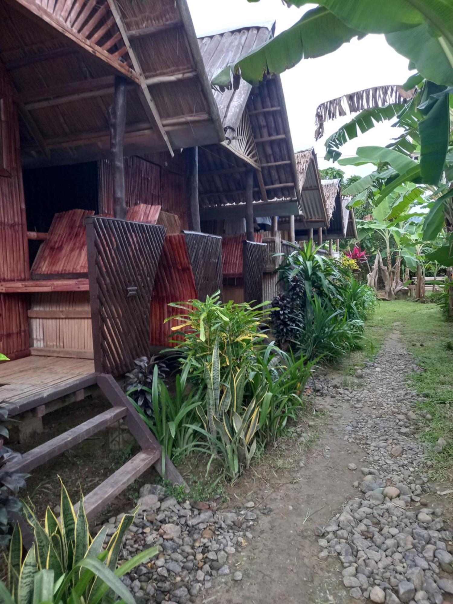 Banana Grove El Nido Hotell Rum bild
